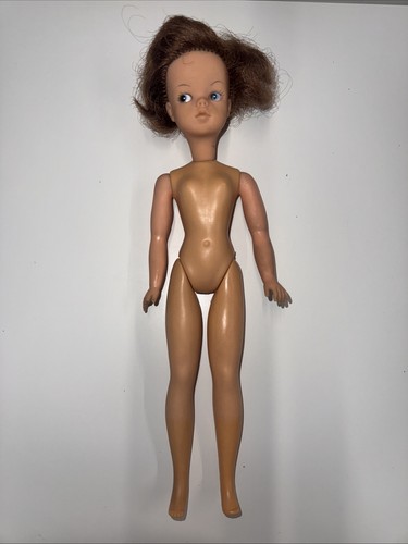 Vintage pedigree sindy doll - pedigree,